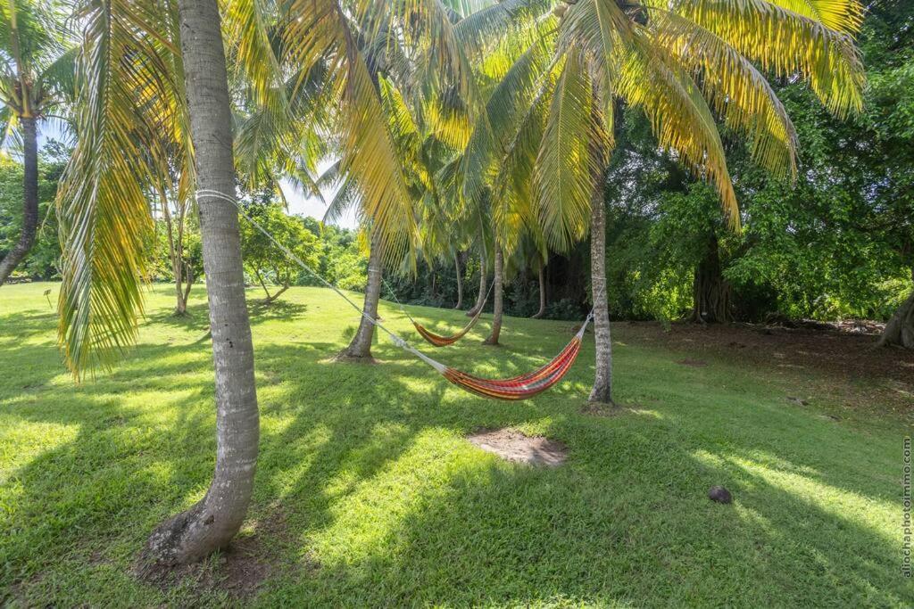 Suite Tropicale Village Vacances Sainte-Luce Eksteriør bilde